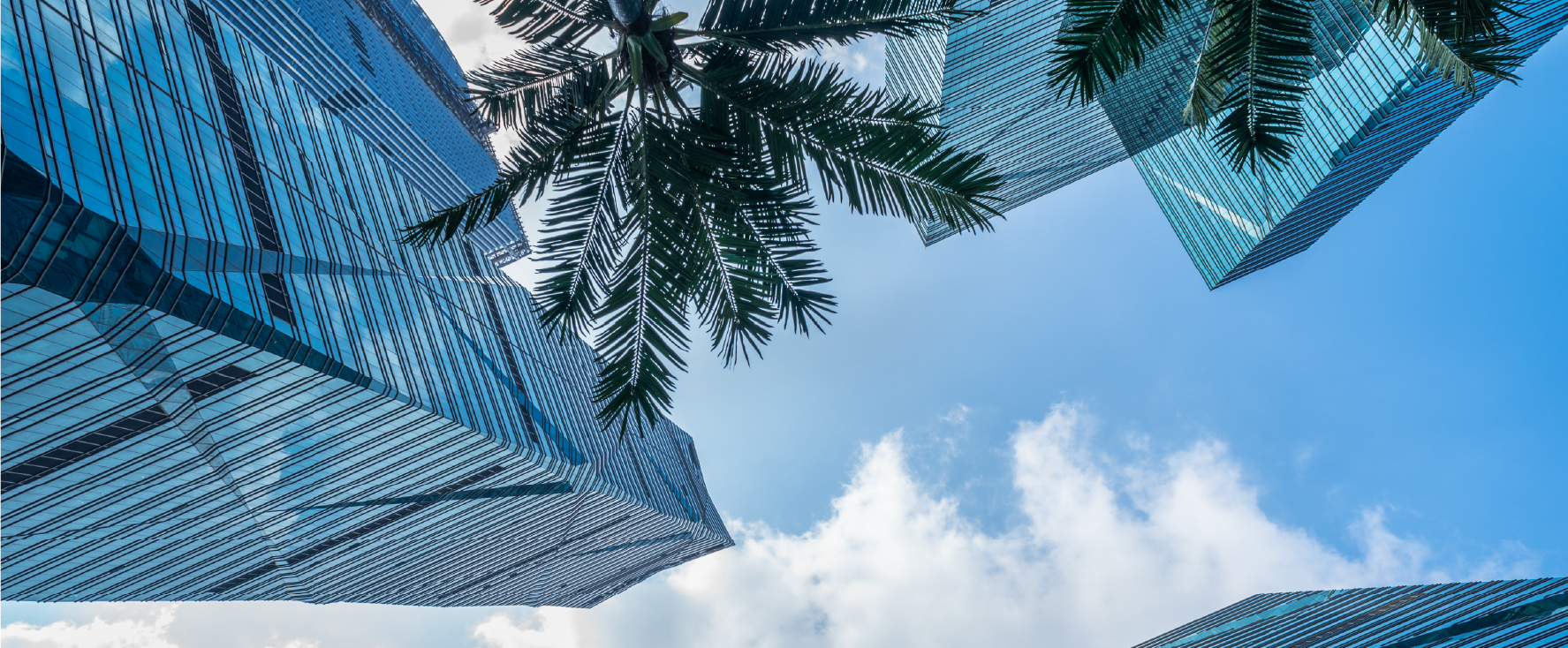 VAT Applicability on the Real Estate Sector in the UAE